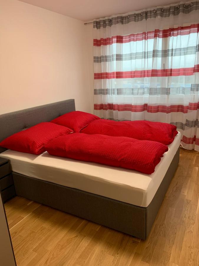 Apartament Modern Airconditioned City Close To Vic *