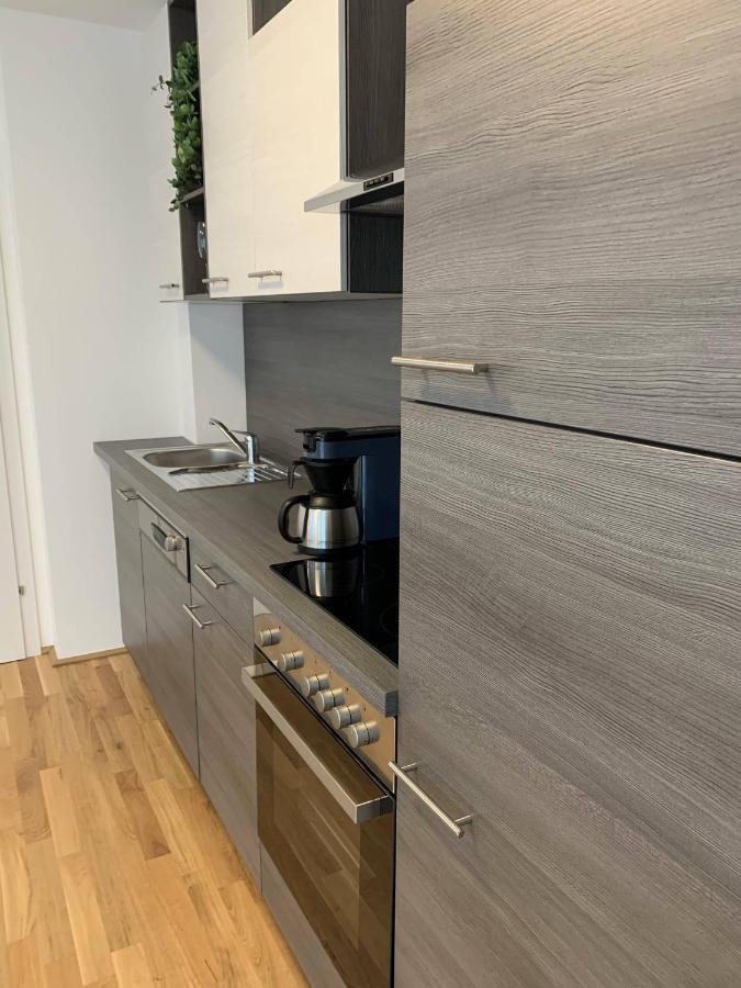 Apartament Modern Airconditioned City Close To Vic